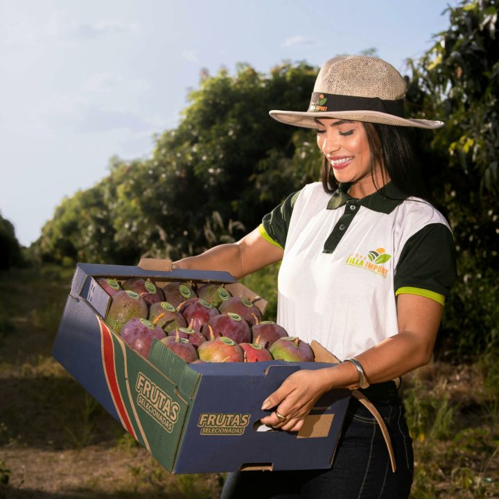 agri aruo